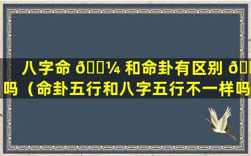 八字命 🐼 和命卦有区别 🐞 吗（命卦五行和八字五行不一样吗）